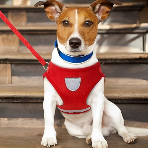 See full amazon price history chart for Urbane Home Reflective Dog Harness With Adjustable Leash|Breathable Polyester Mesh Fabric |Medium Size|HT-844|Comfortable No-Pull Grip|Quick Release Buckles|Easy On - Easy Off Harness|Red Urbane Home Reflective Dog Harness With Adjustable Leash|Breathable Polyester Mesh Fabric |Medium Size|HT-844|Comfortable No-Pull Grip|Quick Release Buckles|Easy On - Easy Off Harness|Red (B0CP93G2YP) Amazon Price History, Amazon Price Tracker