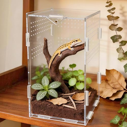 Image of Portable Travel Jumping Spider Enclosure, Acrylic Terrarium for Spider, Magnetic Lock Spider Habitat & Small Terrarium Ventilated for Tarantula,Mantis,Frog,Insect Enclosure cage (5.9x5.9x9.8 Inch)