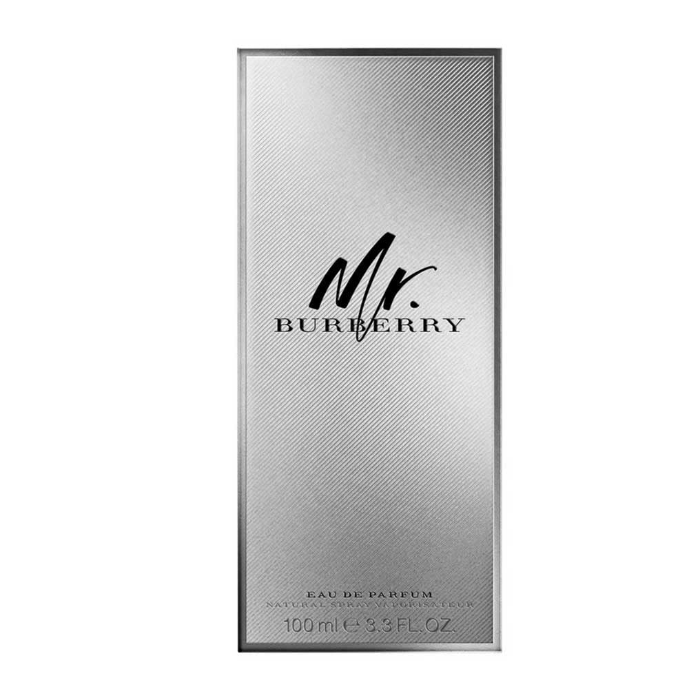 Burberry Mr Burberry, Perfume para Hombres, 100 ml