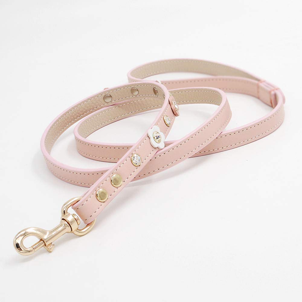 Correa para Mascotas Collar de Cuero Genuino para Mascotas, Collar para Perros Boutique, Lujoso Collar de Cuero Suave para Perros, diseñador distinguido Exclusivo de Plomo-Verde_S