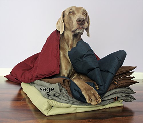 Best Down Throw For Pets