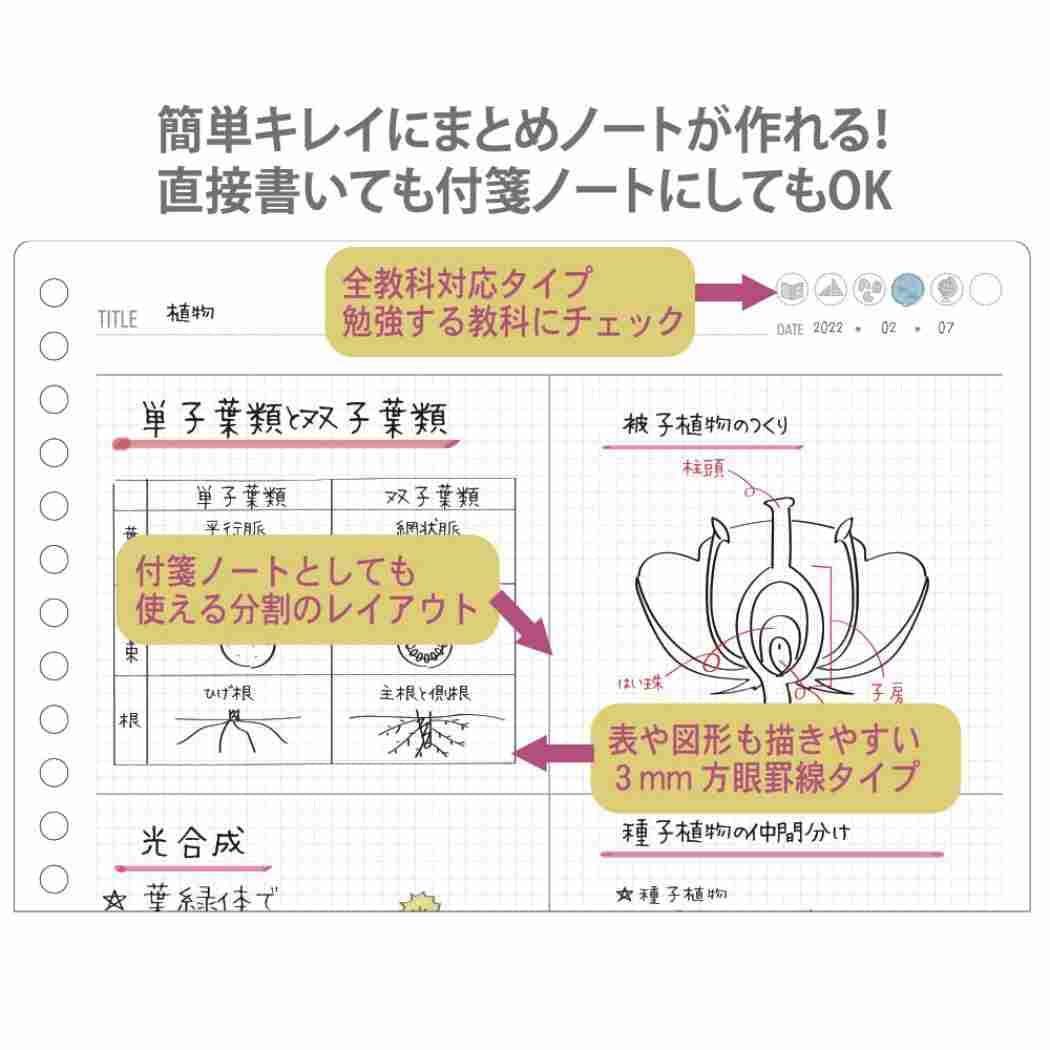 Amazon.co.jp: ルーズリーフ 26穴[みおりん Study Time]B5 学習ノート
