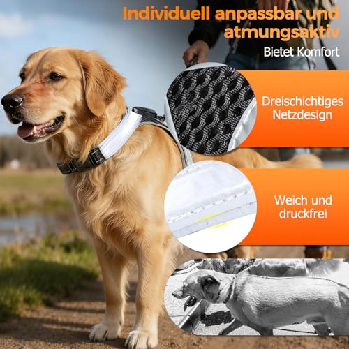 LED Hundegeschirr Leuchtend - Bequemes Leuchtgeschirr für Hunde, 7 Farben & Blinkmodi - USB-C Aufladbar, 11h Laufzeit - Für Mittelgroße Hunde 8-25kg