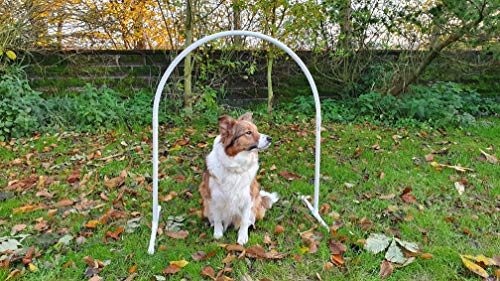 Wuzzmann Set 3 x NADAC Hoopers Bogen/VDH-KONFORM/Hoop/Hoops/Fun Hoopers Agility Bogen mit Ständer/PVC weiß/grau