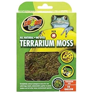 zoomed dierentuin met CF-2ME Terrarium Mos, Medium, 1,8 Liter