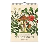 Saisonkalender Wildpflanzen | Kräuter & Pilze A4 Vintage