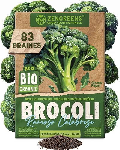 ZenGreens® – Graines de brocoli bio - Semences potagères - Graines de légumes pour une culture facile au jardin, sur le balcon ou dans un potager surélevé - Ramoso calabrese