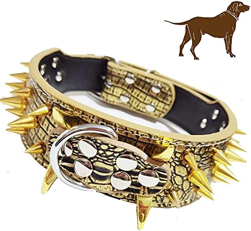 Spiked Dog Collar,2" Wide Dog Collar Gold Spiked Studded,Dog Collar for Large Dogs,Pit Bull Mastiff Rottweiler,Pitbull,Labrador, etc. (L:2.0" * 21-24", Gold)