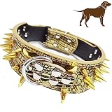 Spiked Dog Collar,2" Wide Dog Collar Gold Spiked Studded,Dog Collar for Large Dogs,Pit Bull Mastiff