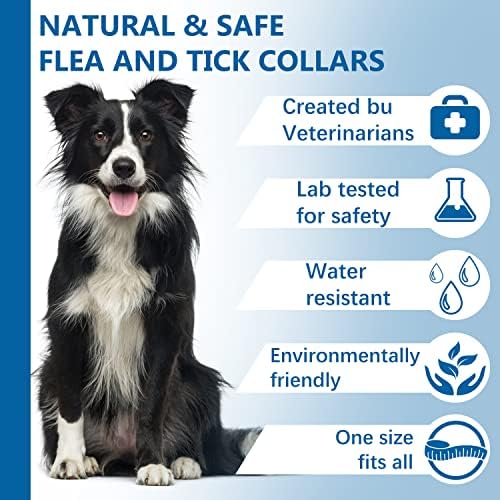 What Happens If A Dog Eats A Flea