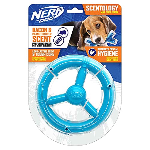 Nerf Dog 16.5 cm TPR/PP ts[ibco^[/x[RX[p[I[rbgO\bhRA-NA/Cgu[