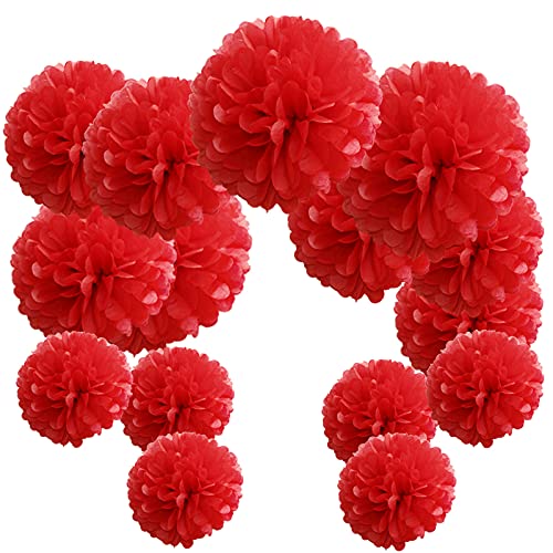 Time to Sparkle 15pcs Mixed Tissue Paper Pom Poms Decorations, Handmade Hanging Flower Paper Pompoms Balls for Wedding Birthday Party, Baby Shower