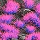 Gamers Grass - Tufts Alien Neon (4mm) Shape: Wild