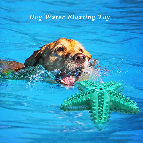 Image of Squeaky Chew Toy - Starfish Water Floating Toy for Dogs, Natural Tooth Brush Teeth Cleaning for Small Medium Dogs - Blue
