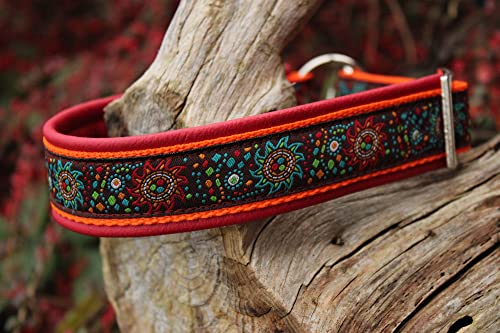 Halsband Hund - Hundehalsband aus Leder Farbenfroh Zugstopp, selbst gestalten