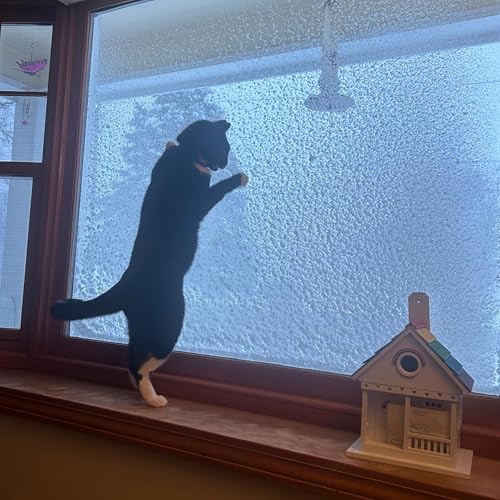 Episode 779: February 26, 2026