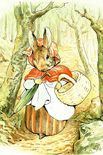 Beatrix Potter Tale of Peter Rabbit Mrs Rabbit British Childrens Book Illustrations Cool Wall Decor Art Print Poster 12x18