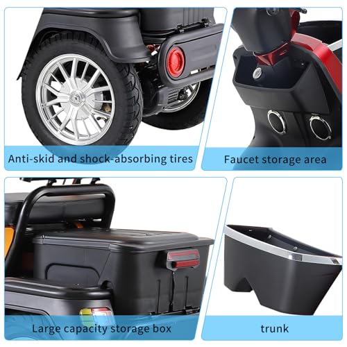 Dvsripa 1000W 2-Seater Mobility Scooter