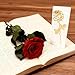 Imagen de Yamonic Rosa Eterna Regalos Mujer