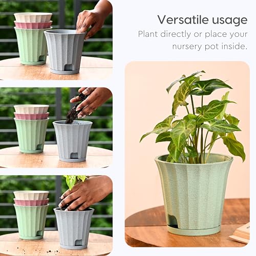 Image of Eha Earth Friendly Ace 5 inch Small Self Watering Pots for Indoor Plants | Set of 6 | Plant Pot Made with Bamboo Fibers | Table Top Planters for Home Decor, Flower Pot for Living Room | Celeste
