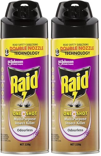 Raid One Shot Multipurpose Insect Killer, Insect Spray for Flying and Crawling Insects, Odourless, 220g, 1 Count (Pack of 2)
