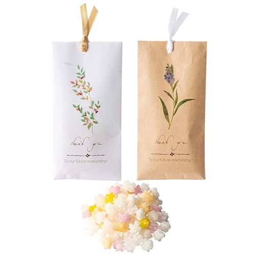 i`pbP[W ؂Ƃv`Mtg 1 fUC̎ނ͑Iׂ܂  َq  Ǝ  o^C zCgf[