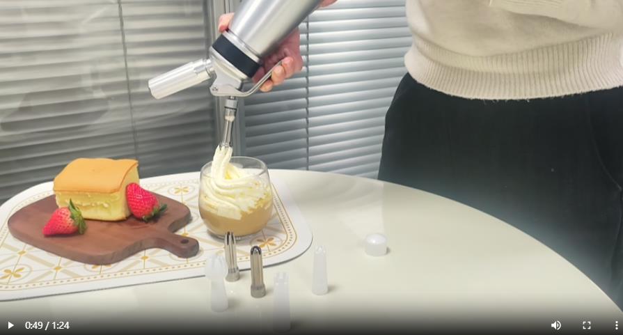 Amazon.com: NATUREKIT Homemade Whipped Cream Dispenser,500ml/ 1