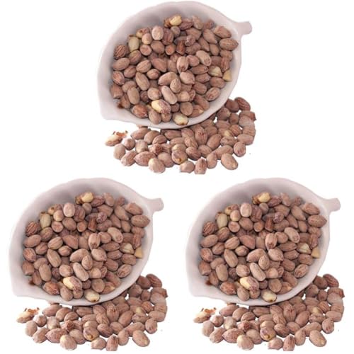 Image of Ancy Foods Premium Dry Fruits (Peanut Roasted Salted), 500 g (Pack of 3)
