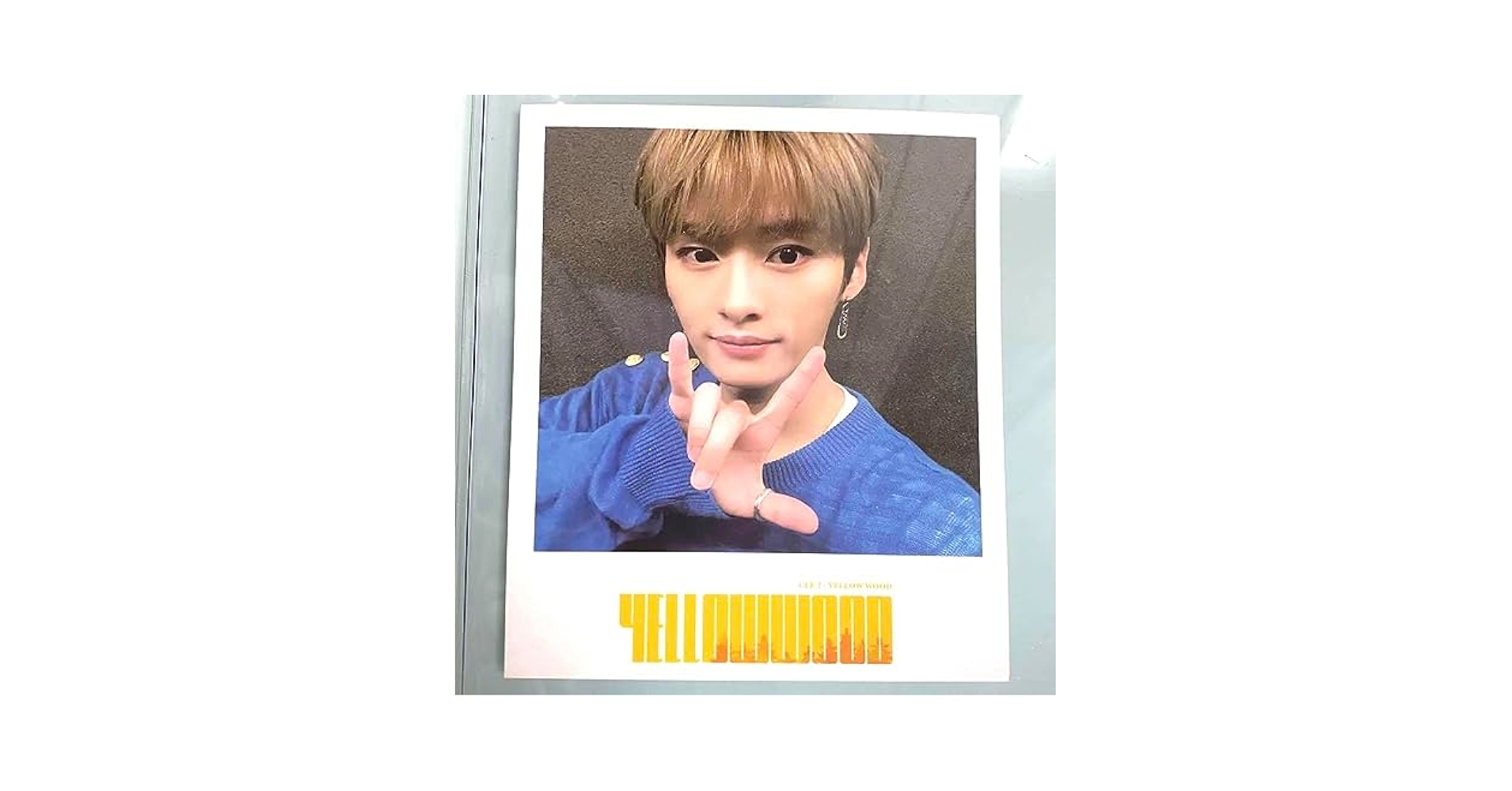 リノ Yellowwood 台湾盤 ポラ Amazon.co.jp: リノ Yellowwood 台湾盤 ポラ : おもちゃ