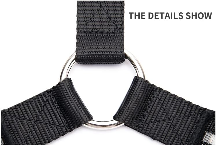 Miniatura 8 de UDRENM Collar de pectoral de caballo LED Bridle Halter Tack de alta visibilidad para montar a caballo nocturno (rojo)