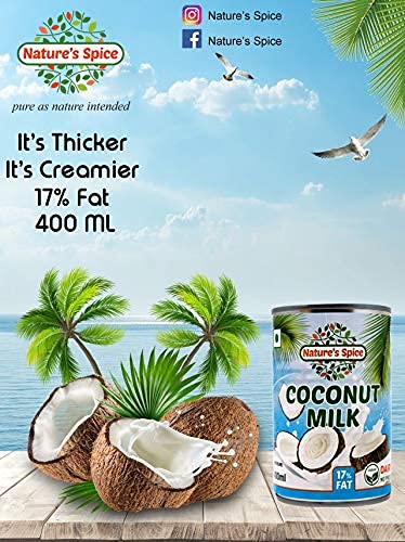 Nature's Spice Coconut Milk - Combo Pack of 2 (400 ml) Rich