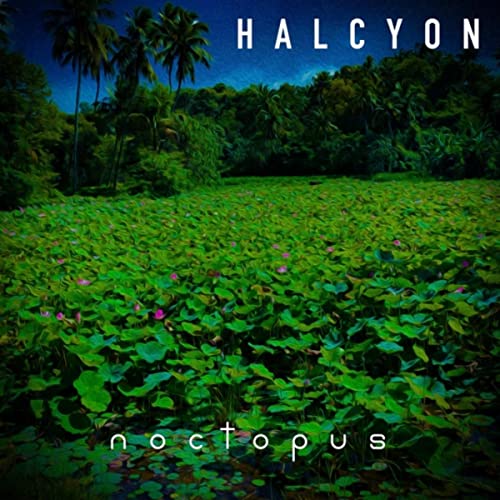 Halcyon Portable Charger – Noctopus