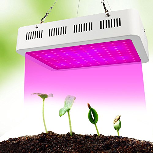 Led flowering grow lights: ¿Cuál es el mejor del 2021?