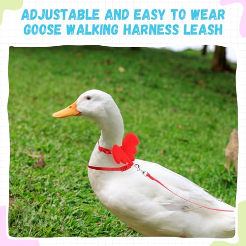 Image of SATINIOR 3 Pack Harness and Leash for Pet Ducks, Real Duck Collar and Leash Soft and Adjustable Harness Training Traction Rope Collar for Young Adult Pet Goose Chicken Hen(Blue Red Purple,S)