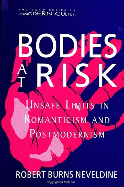 Bodies at Risk: Unsafe Limits in Romanticism and Postmodernism (Postmodern Culture)