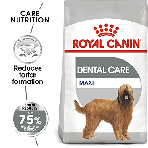 ROYAL CANIN Maxi Dental Care - 9 kg