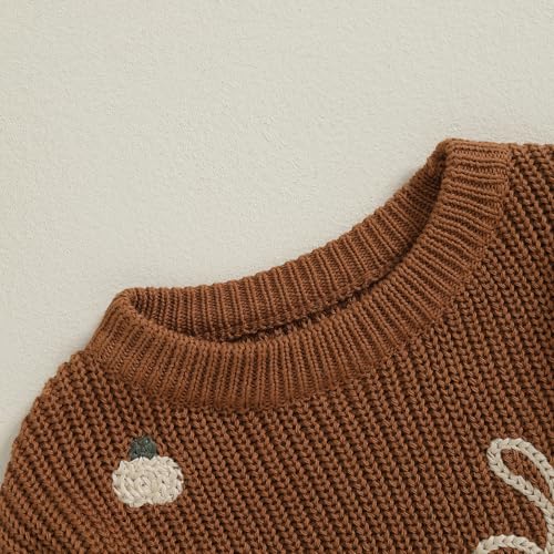 Little Kids Baby Boy Girl Halloween Pumpkin Letter Embroidery Knitted Sweaters Oversized Long Sleeve Warm Sweater4