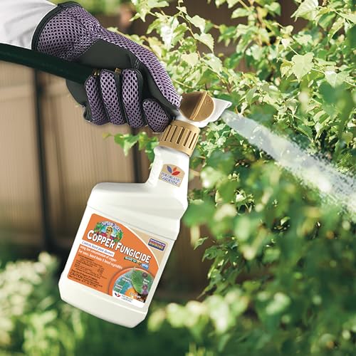 Bonide Captain Jack's Copper Fungicide, 16 oz Ready-to-Spray - image 5