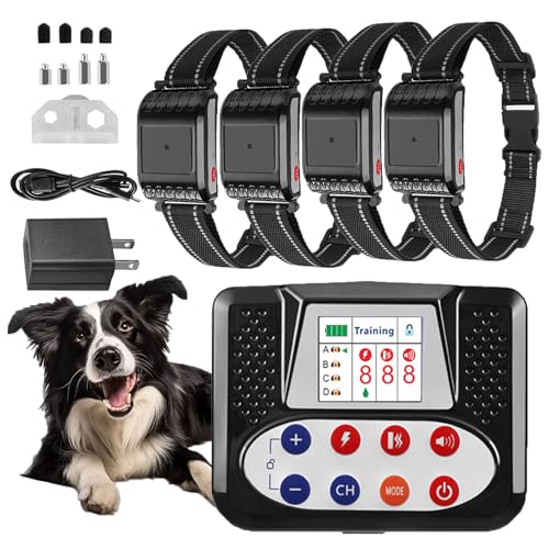 Wireless Dog Fence Review: Ultimate Safety and Freedom for Dogs Wireless Dog Fence Review: Ultimate Safety and Freedom for Dogs