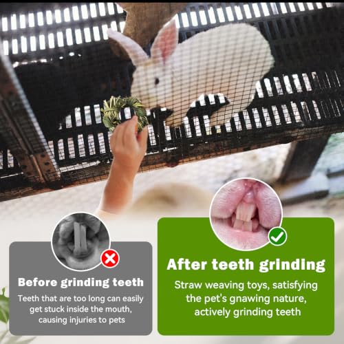 Image of 6PCS Timothy Hay Toy for Rabbits Bunny Chew Toys for Teeth Timothy Hay Rings for Small Animals Guinea Pigs Chinchillas Hamsters Bunnies Digestion Care
