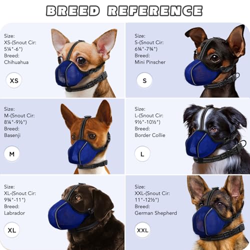 Image of Dog Muzzle - Soft Breathable Mesh Nylon Adjustable Muzzle for Small Medium Large Dogs | Prevents Chewing,Biting & Scavenging | Allows Panting, Drinking & Grooming | Secure Collar Strap Design(Blue M)