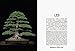 Bonsai: Reprint Edition (Japanese Edition)