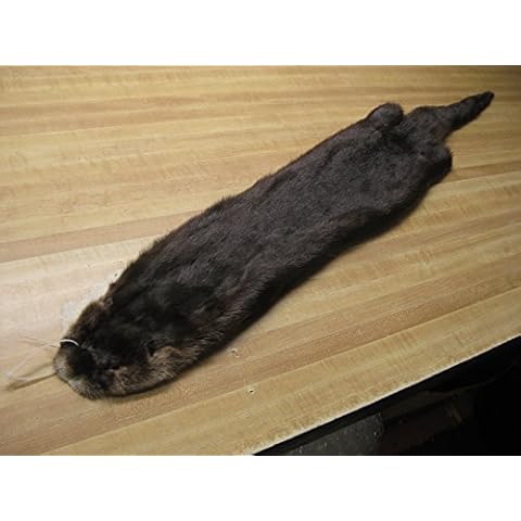 Tanned Otter Hide # 1 Quality Fur Cover