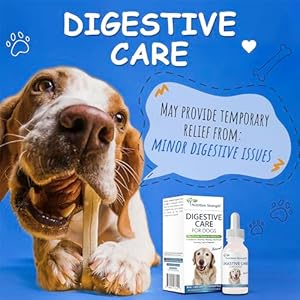Digestive-Care-for-Dogs-Natural-Constipation-Relief-for-Dogs-and-Puppies-Support-for-Diarrhea-Bloating-Bad-Breath-Vomiting-Lack-of-Appetite-60-Milliliters - Cucciolini Doodles   Digestive-Care-for-Dogs-Natural-Constipation-Relief-for-Dogs-and-Puppies-Support-for-Diarrhea-Bloating-Bad-Breath-Vomiting-Lack-of-Appetite-60-Milliliters