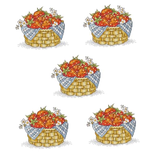 Kit de broderie fraises pour créer une décoration murale printanière fait main