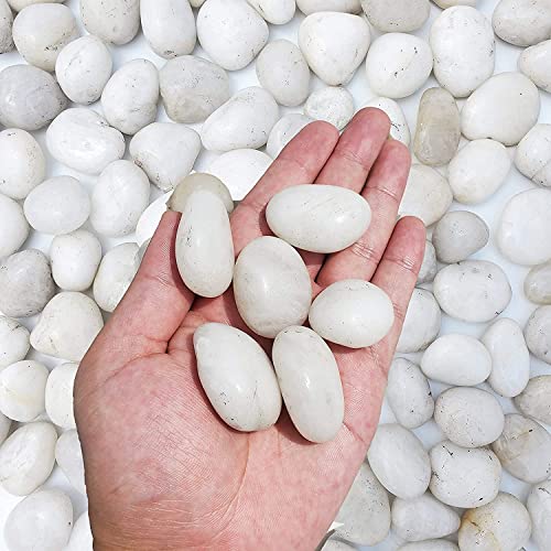 Image of 15Kg Natural Polished White Pebbles (White Polished) Smooth for Plants, Aquariums,Terr