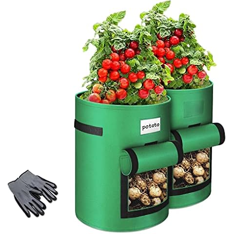 Norjews 2 Pack 10 Gallon Potato Grow Bags, Potato Growing Sacks with Flap Window and Handles, Potato Planting Bag for Potato, Tomato, Carrot - Bonus 1 Pair of Gardening Gloves Cover