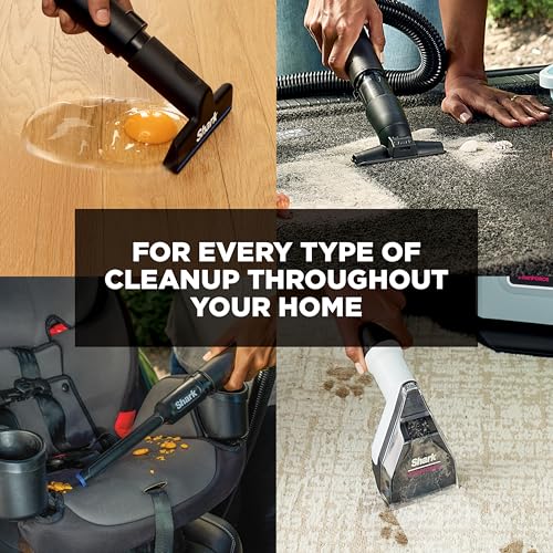 Image of Shark EveryMess Ultra-Powerful 3-in-1 Wet Vac, Dry Vac, & Stain Eliminator with StainForce Technology, Perfect for Homes, Pets, and Cars, 3 Accessories and Cleaning Solution, Gray, VX101