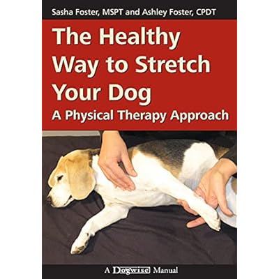 The Healthy Way to Stretch Your Dog
