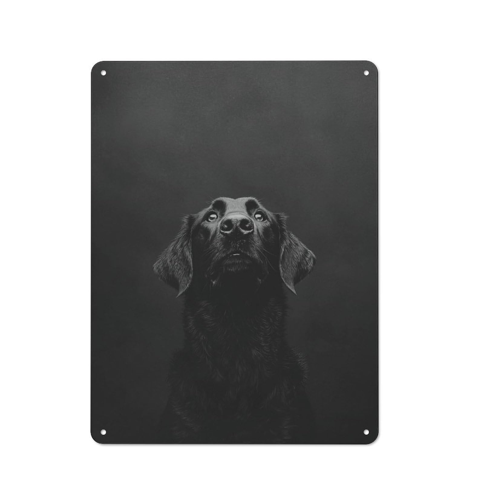 Junmoney Flat-Coated Retriever Photography Tin Wall Plaque 40X30cm With For Home Office Or Studio, Gift Idea At Christmas For Creative Workspace Decorators